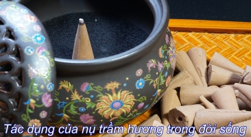 tac dung cua nu tram huong trong doi song 851ba9b5